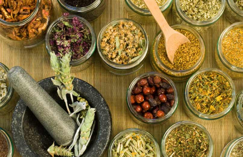 Catering, istanbul catering, istanbul vip catering, catering istanbul, vip catering istanbul, chez bruno catering, chez bruno vip catering, şef bruno, şef bruno catering, bruno van damme catering, Toplu temek